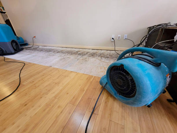 Professional Emergency Water Damage technician working in Saint Clairsville, OH